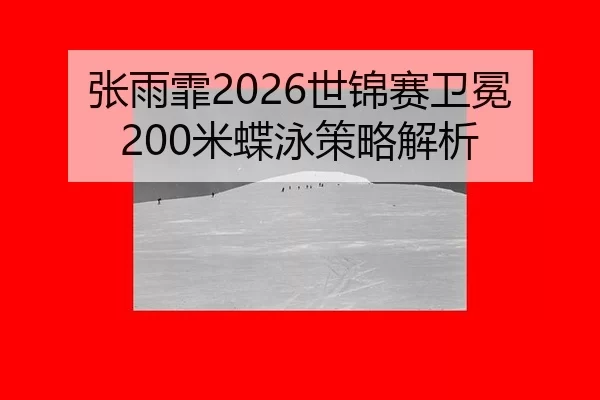 zhang-yu-fei-shi-jin-sai-wei-mian-mi-die-yong-ce-lve-jie-xi-2-970.jpg